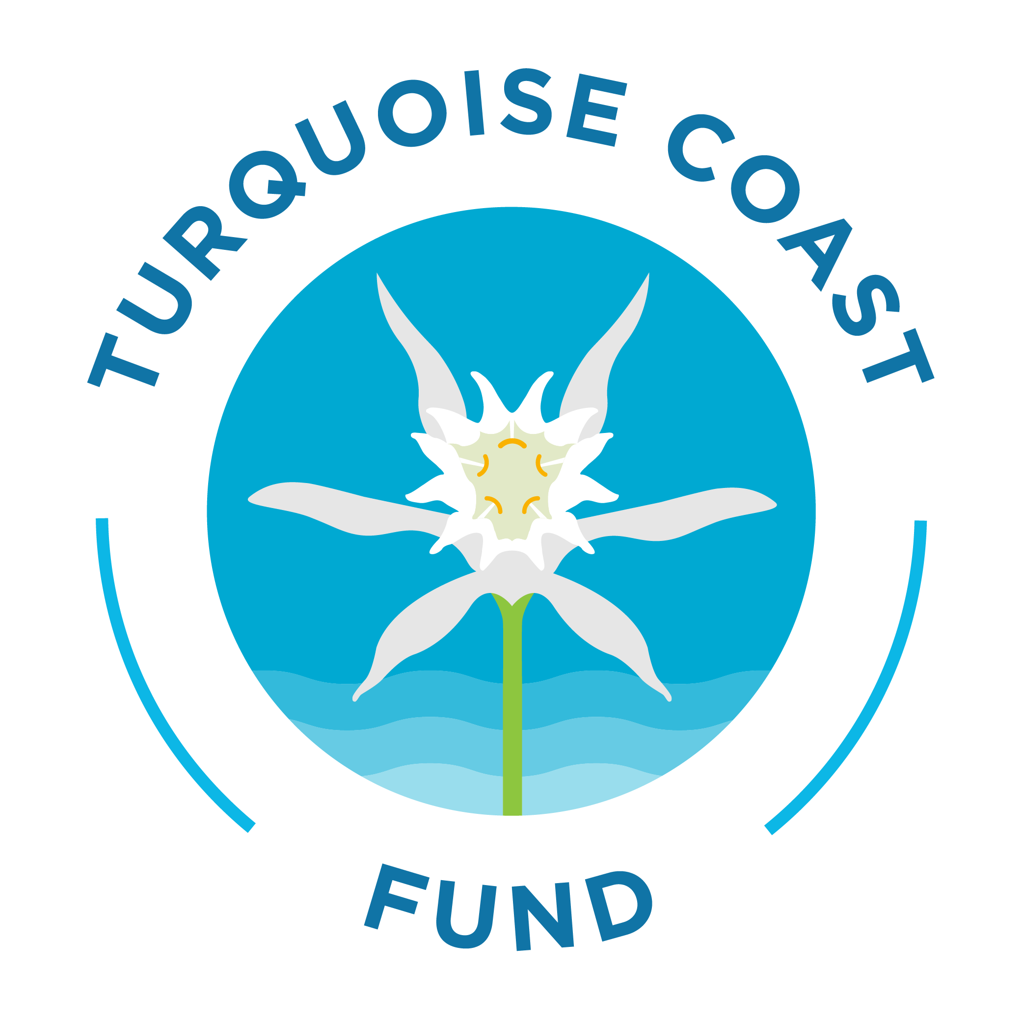 Turquoise Coast Environment Foundation